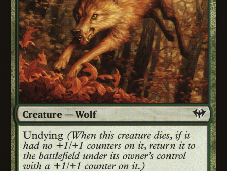 Young Wolf [The List] Sale